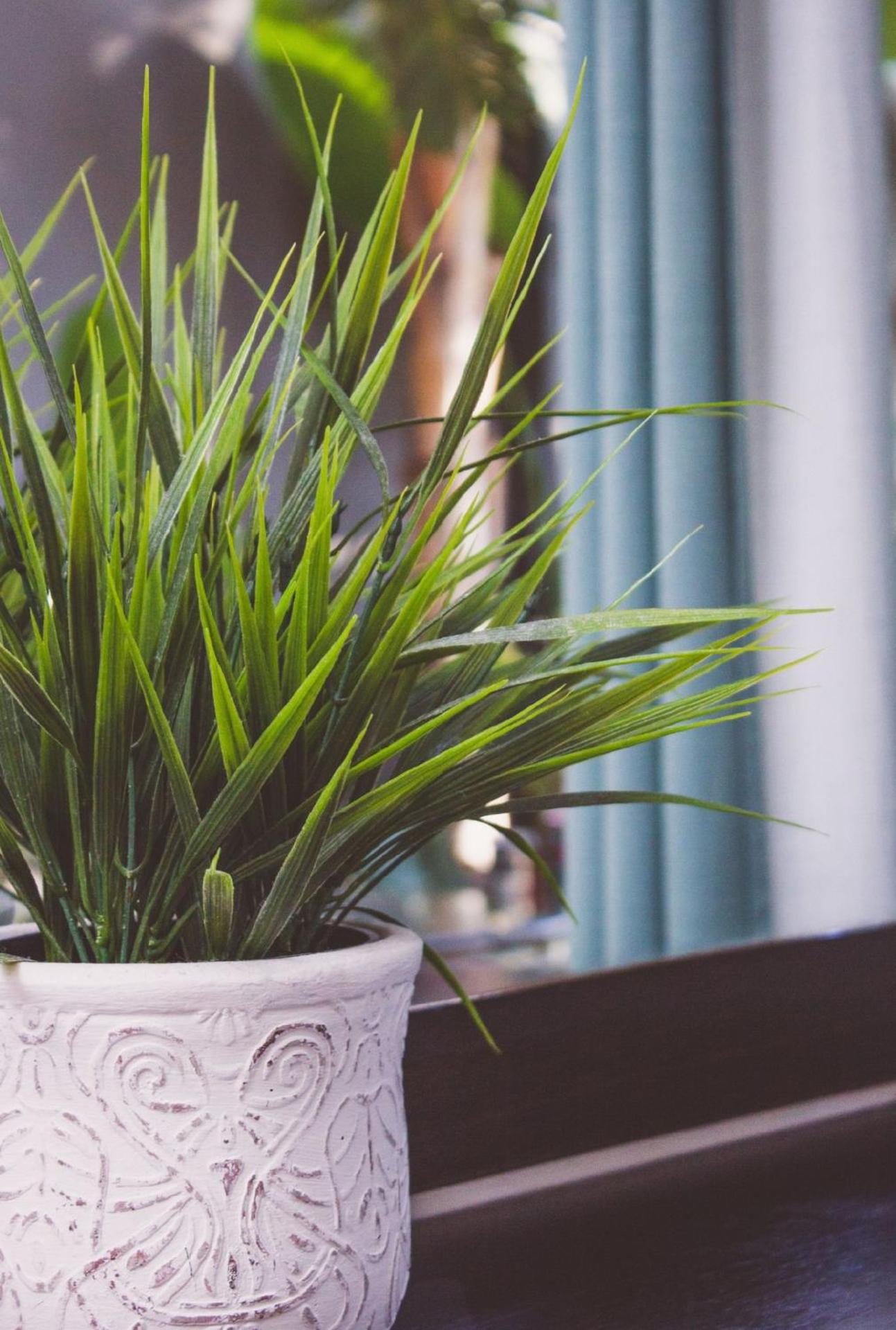 Club Cocomo - Photo 134