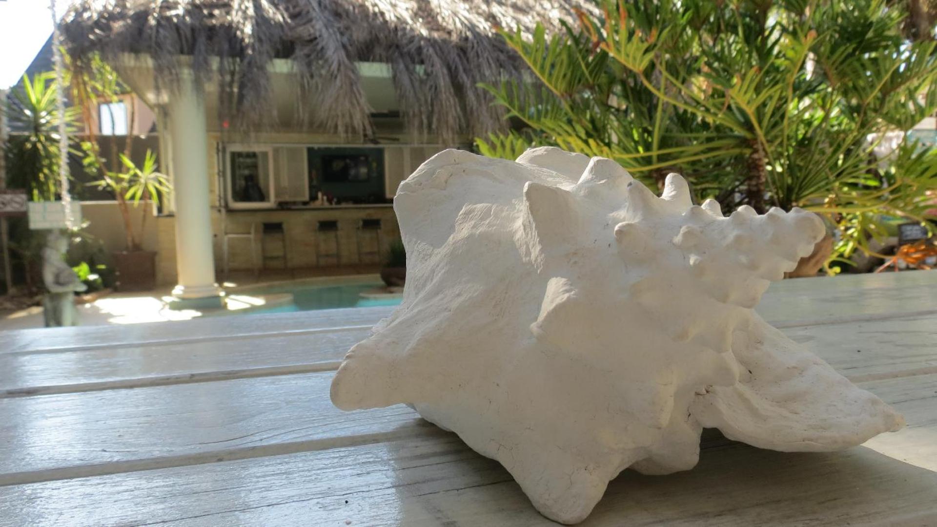 Club Cocomo - Photo 153