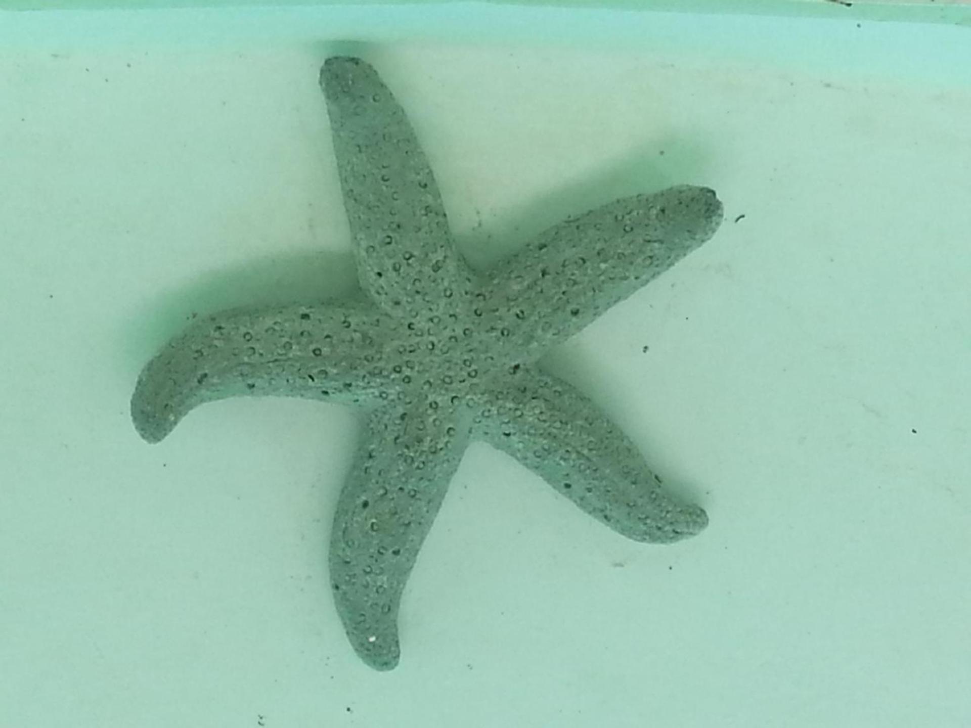 Club Cocomo - Photo 161