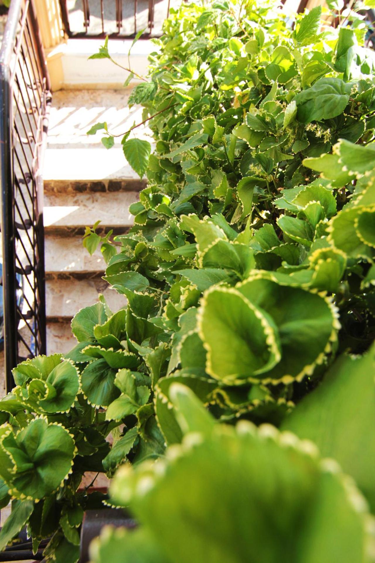 Aparta-Hotel Villa Baya - Photo 21