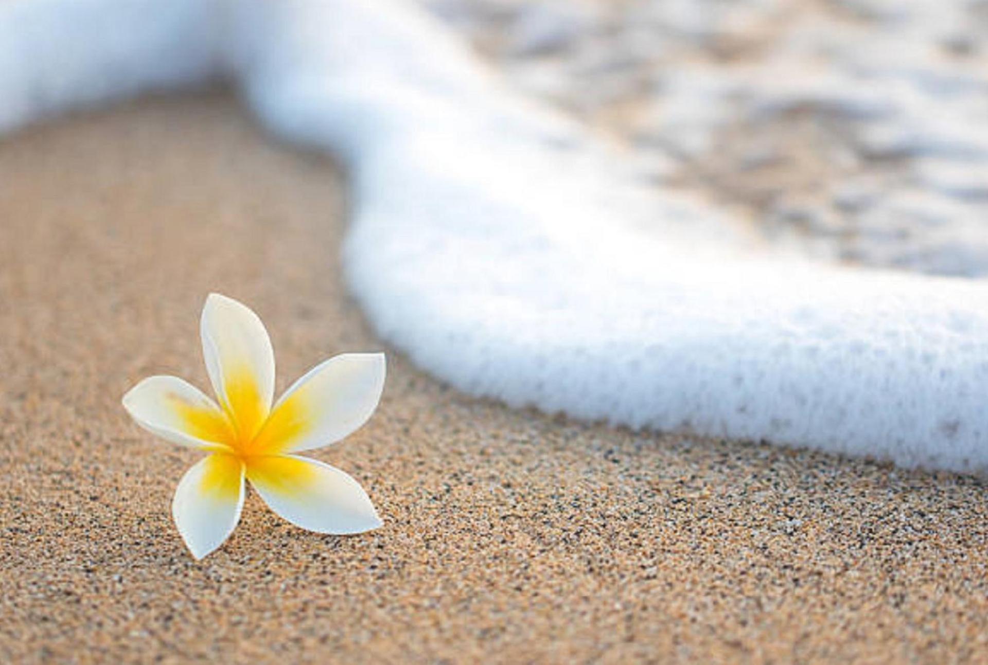 Club Cocomo - Photo 178