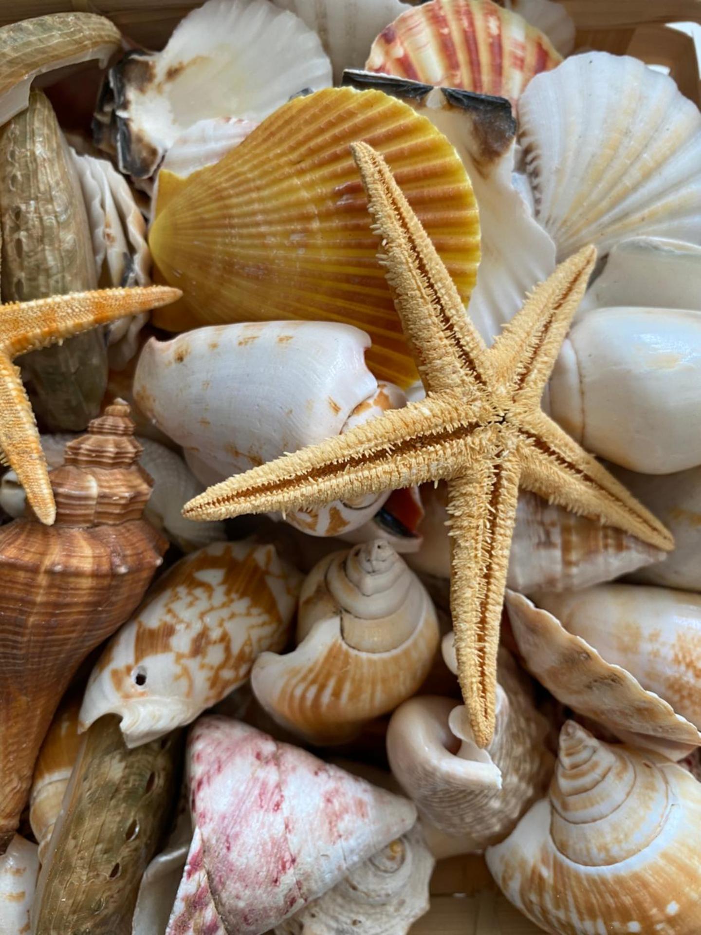 Club Cocomo - Photo 117