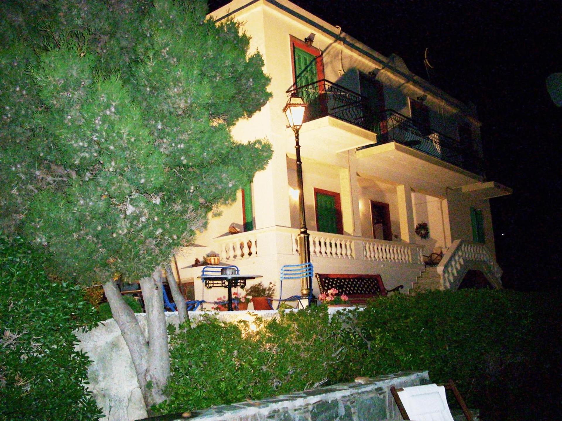 Blue Dolphin - Photo 220