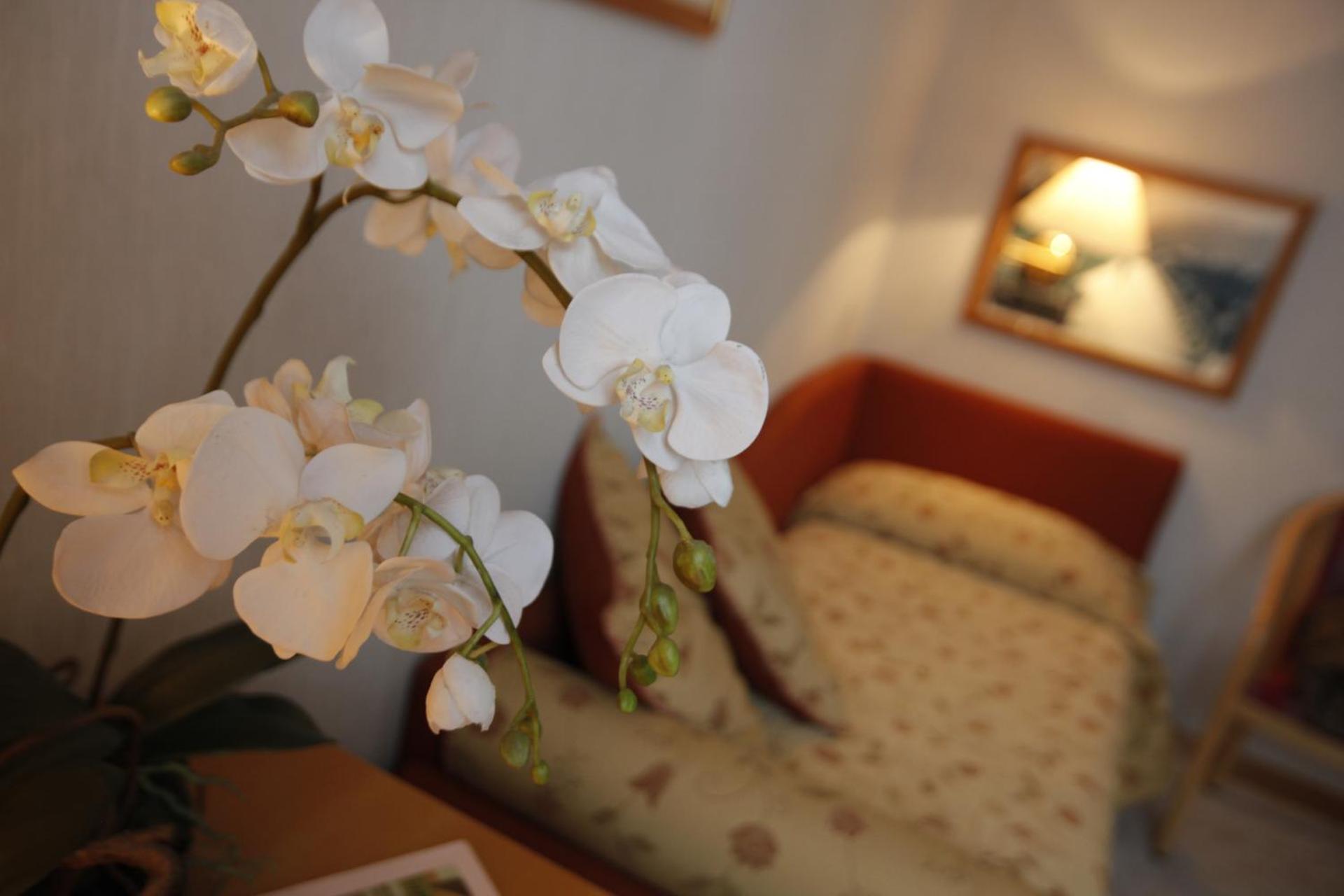 Hotel Monte Rosa - Photo 4
