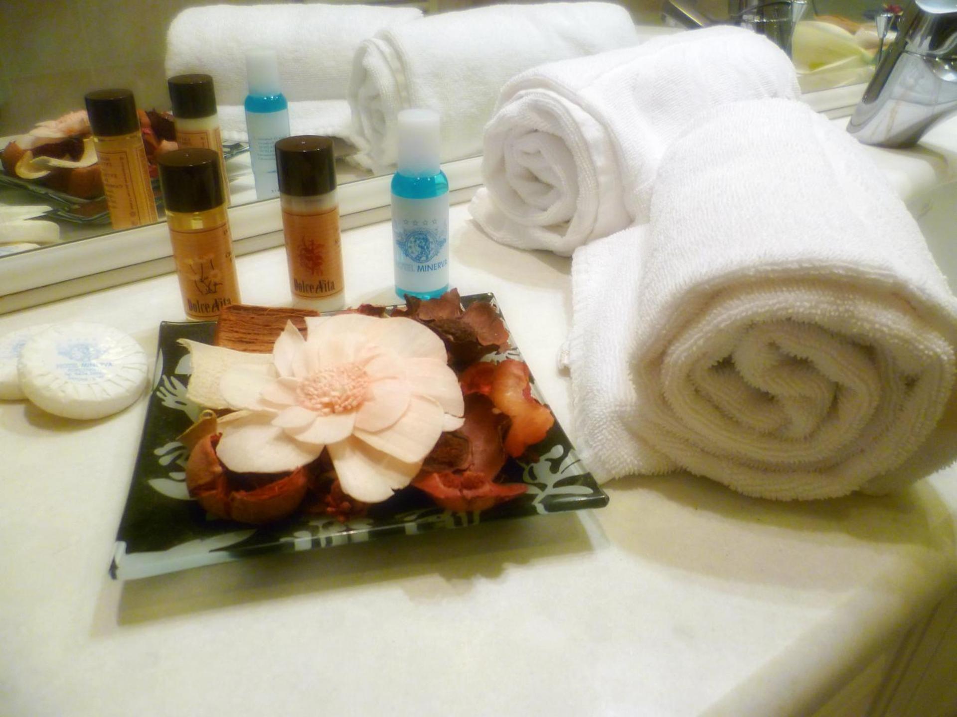 Hotel Minerva - Photo 26