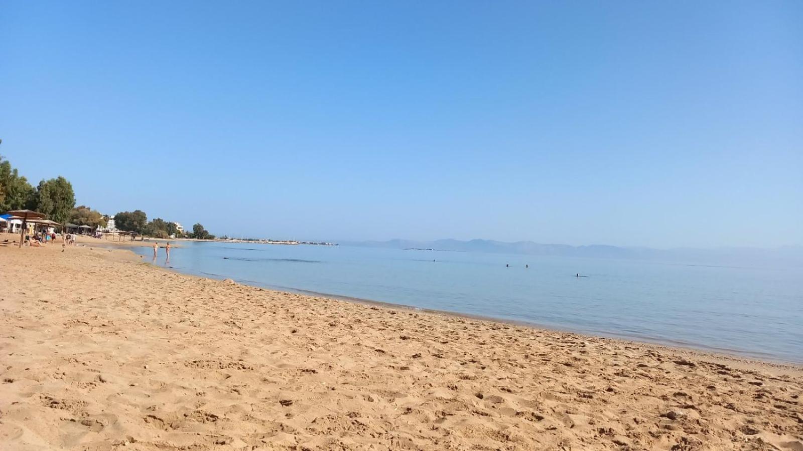 Elena's House - Photo 24