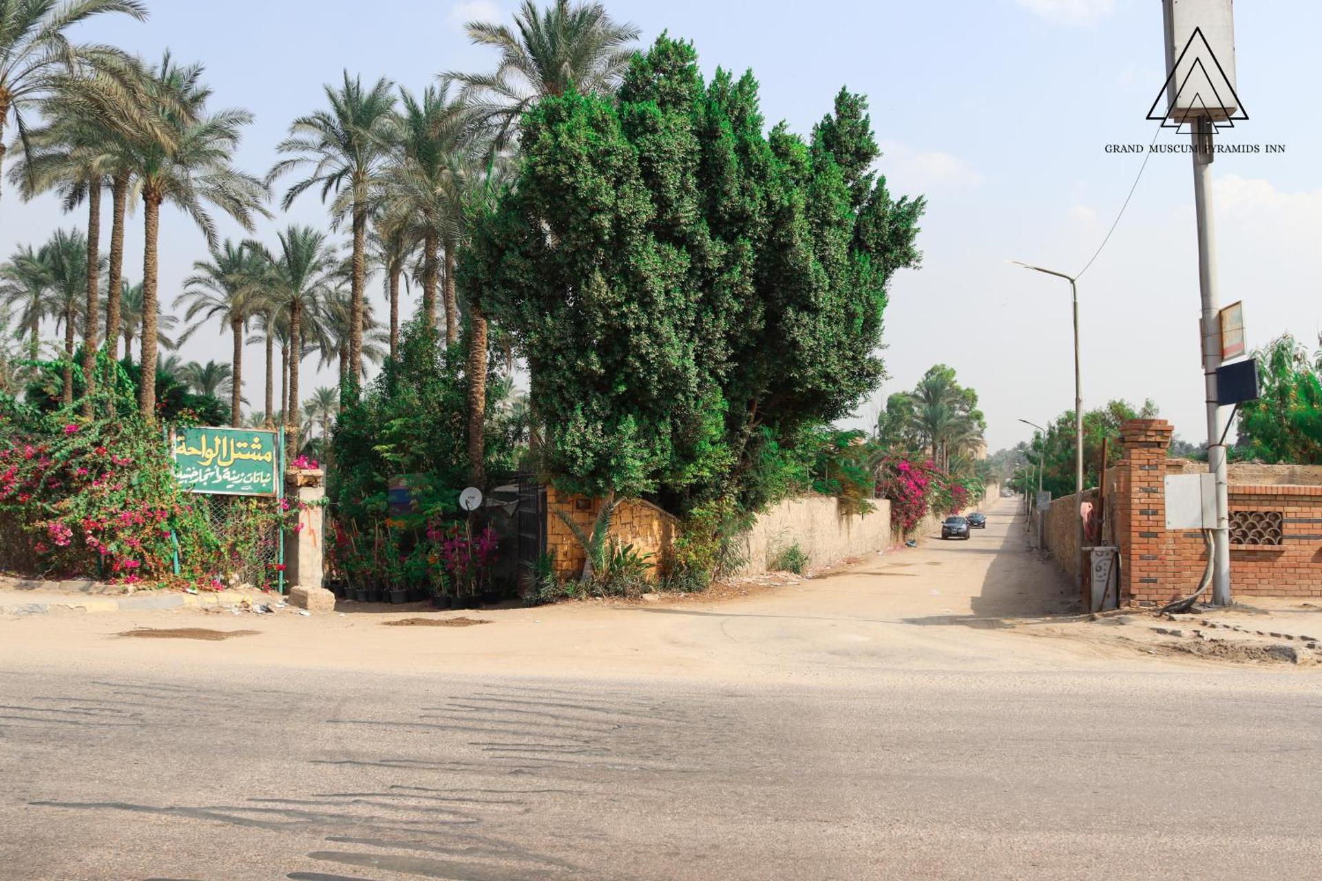 Grand Museum Pyramids Inn - Photo 113