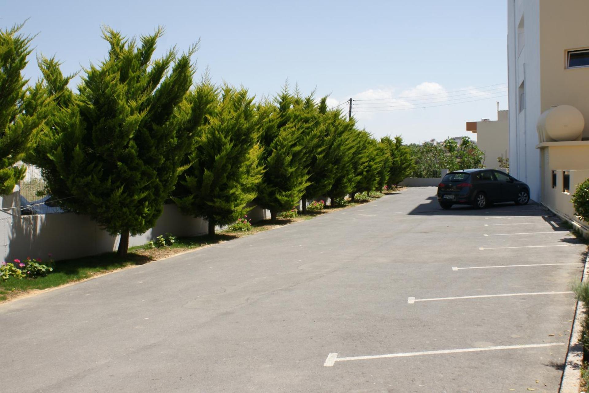 Castro Hotel - Photo 147