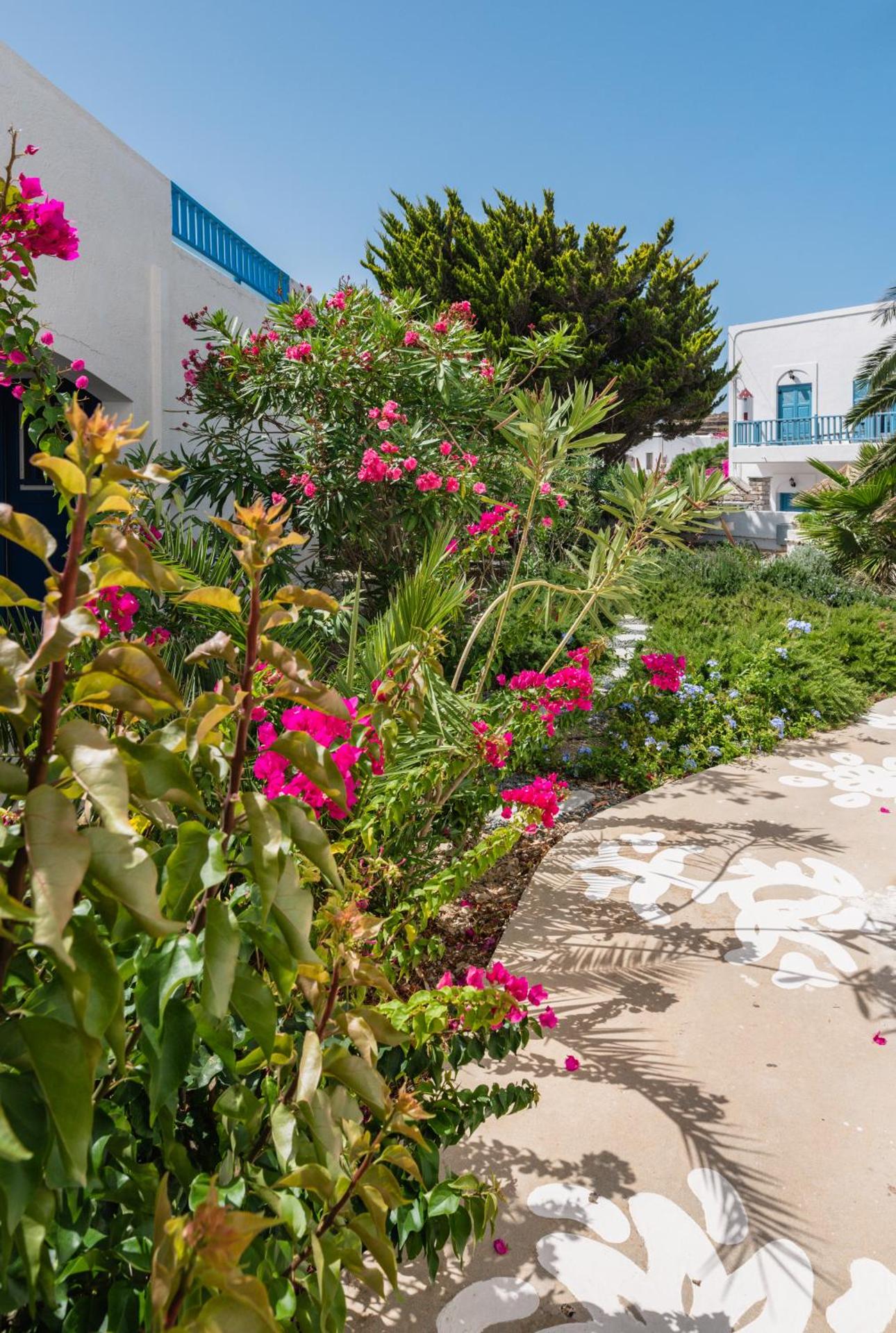 Vigla Hotel - Photo 117