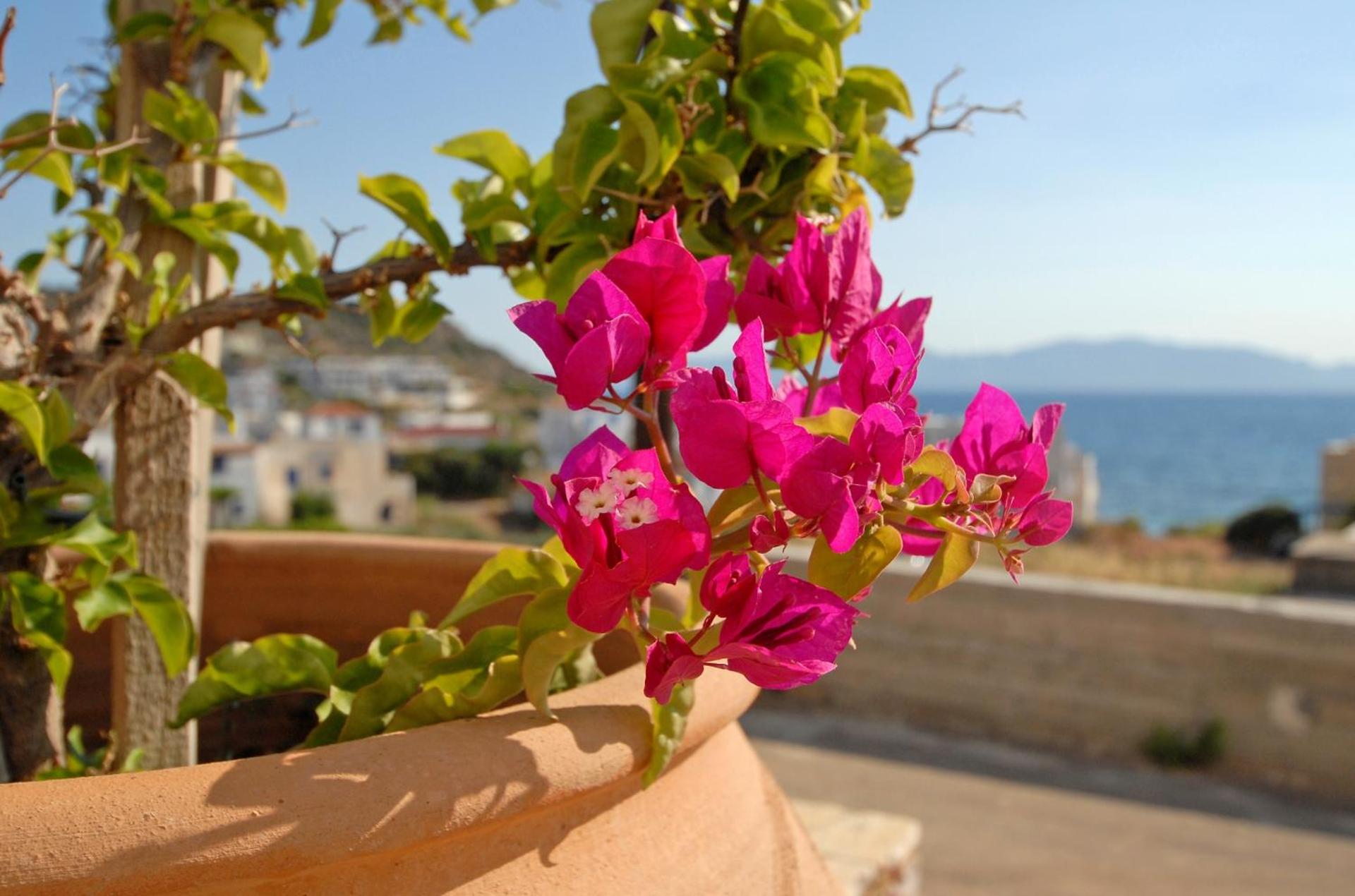 Pantonia Apartments - Photo 42