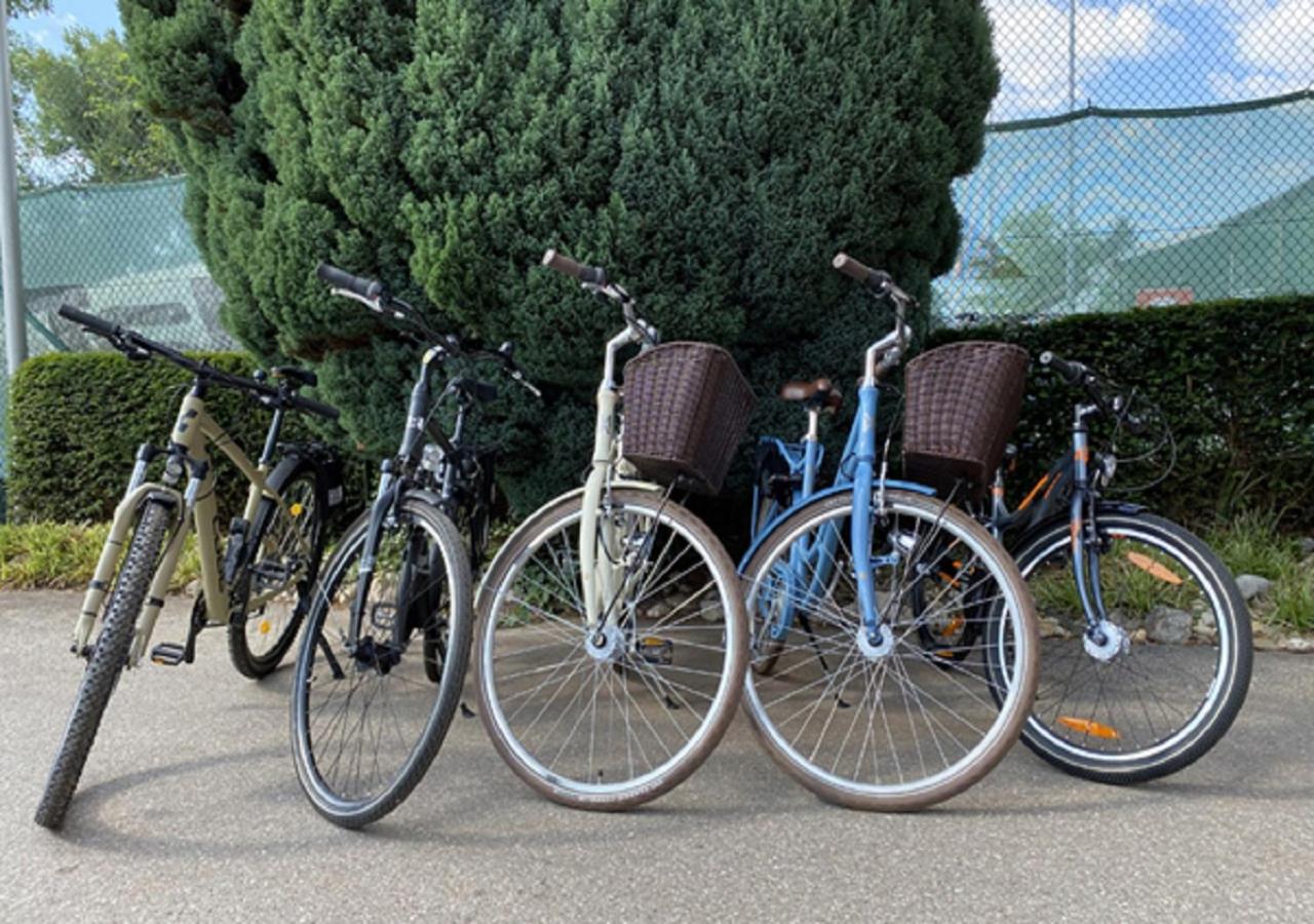 Scheck Hotel - Photo 12