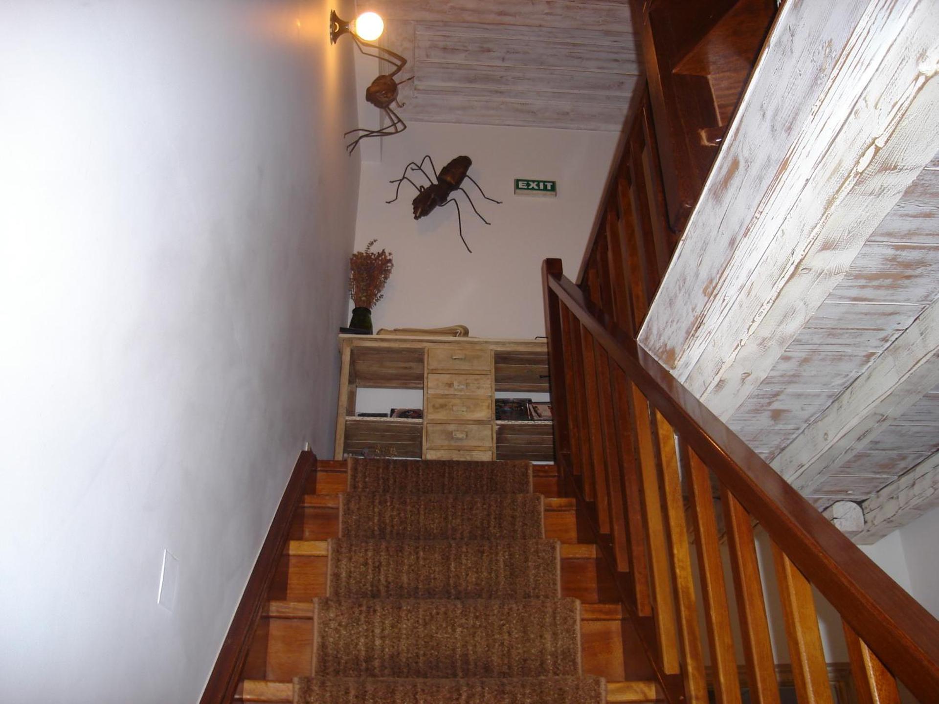 Amymone and Adiandi - Photo 167