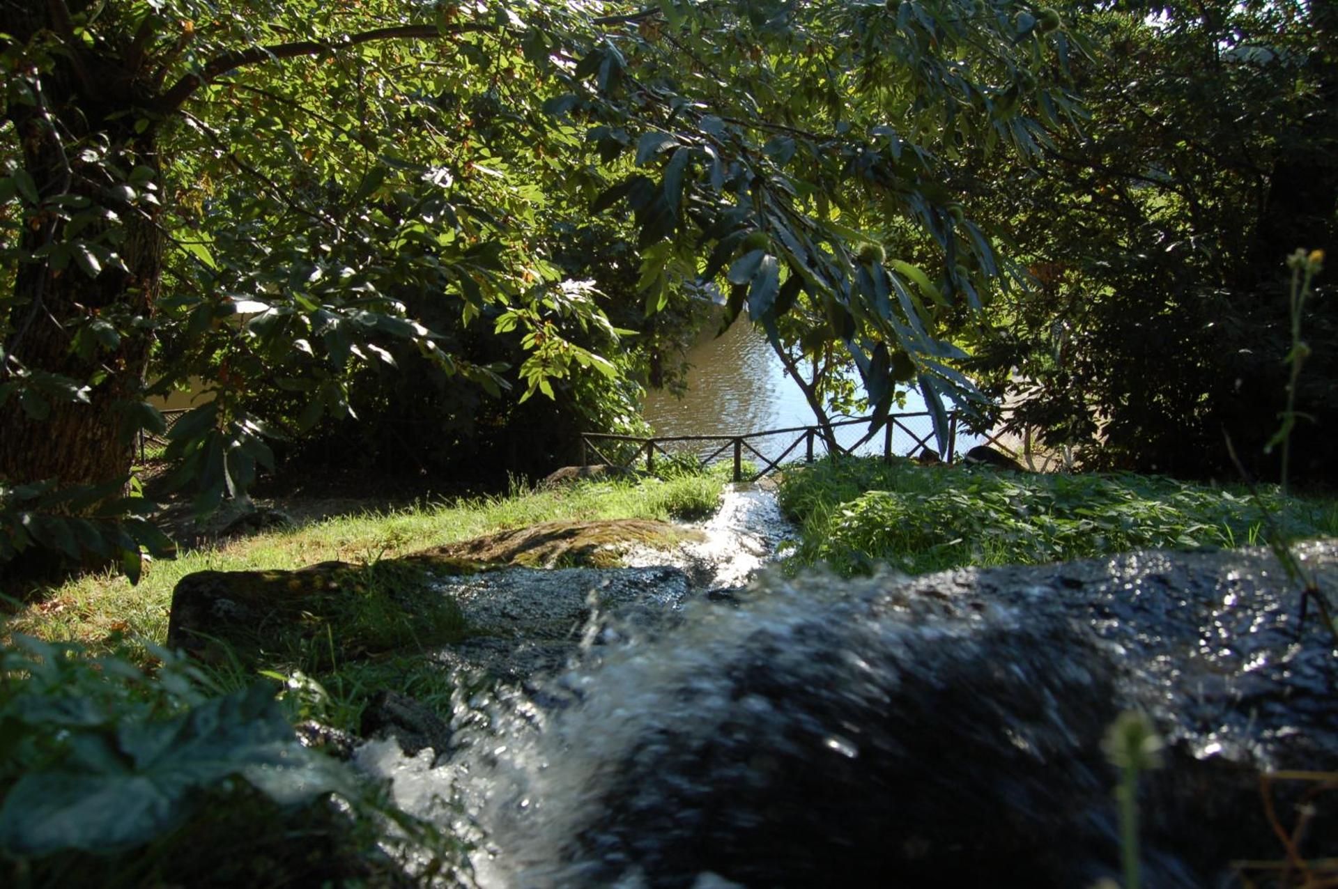 Balletti Park Hotel - Photo 21