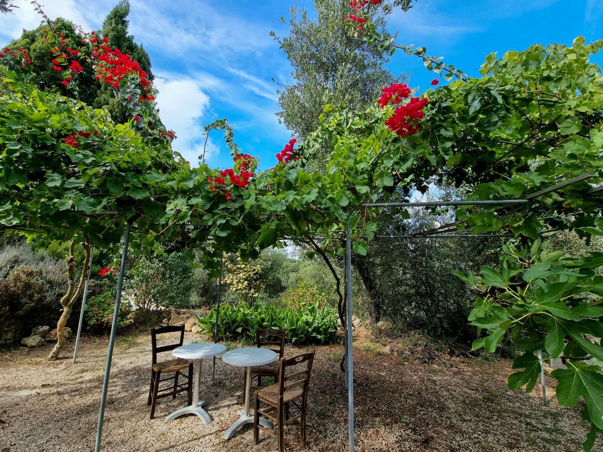 Forestata Village - Photo 90