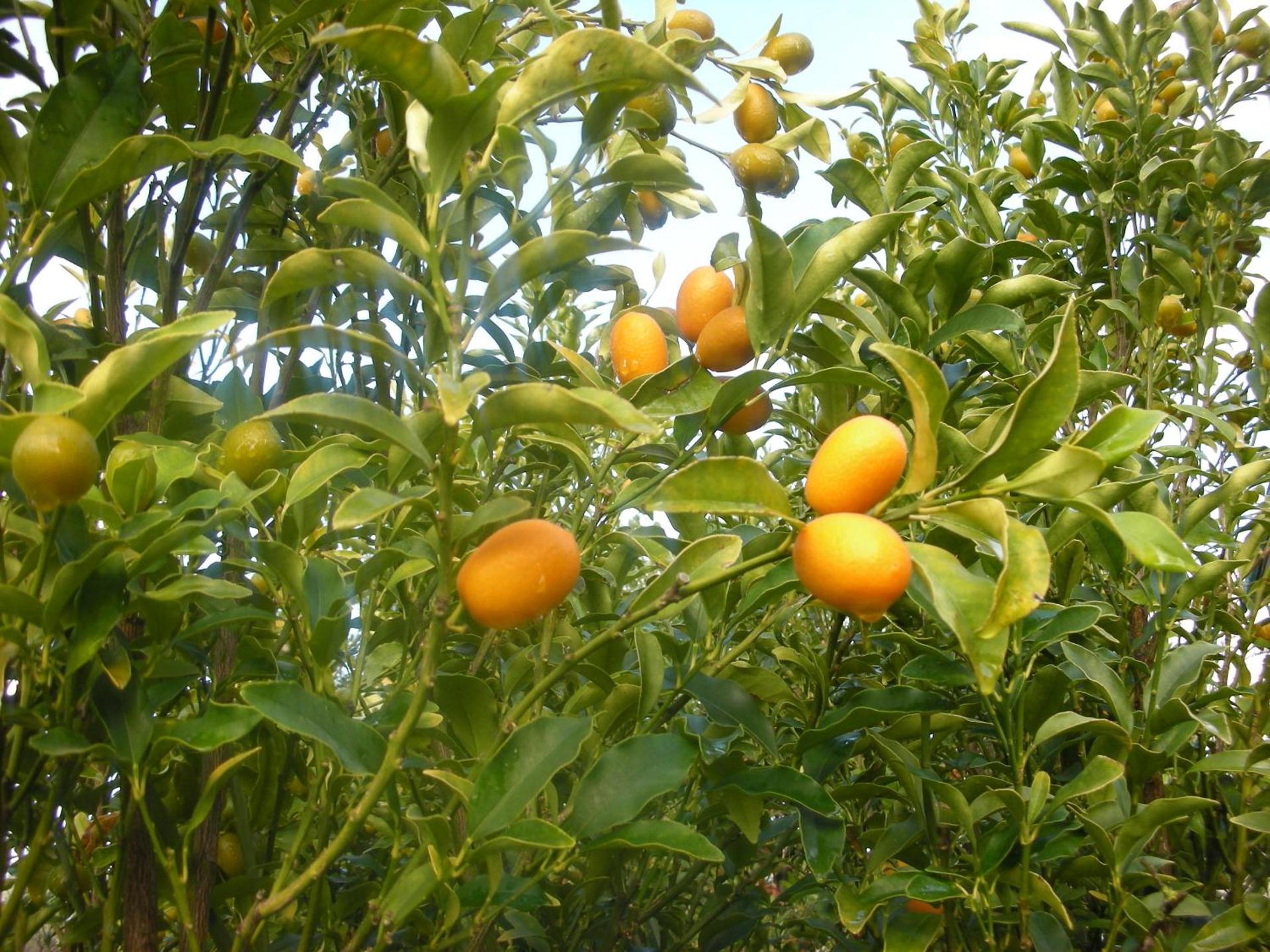 B&B Da Pio - Photo 68