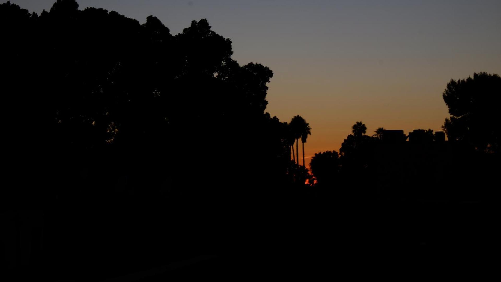 Riad Nafis - Photo 67