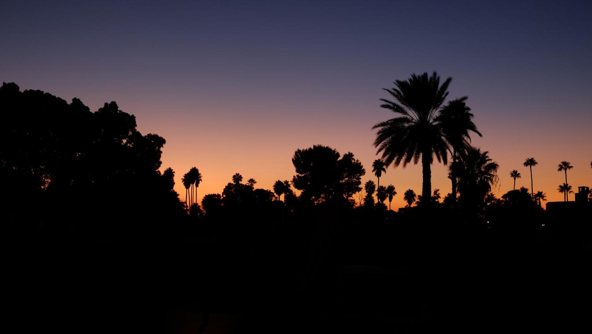 Riad Nafis - Photo 53