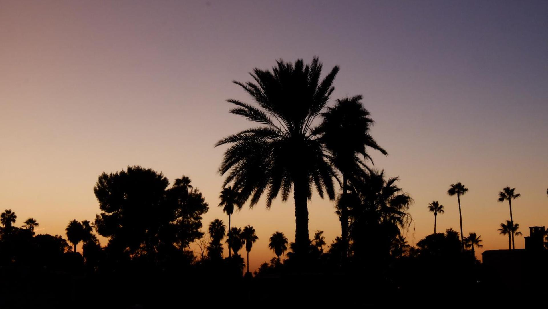 Riad Nafis - Photo 75