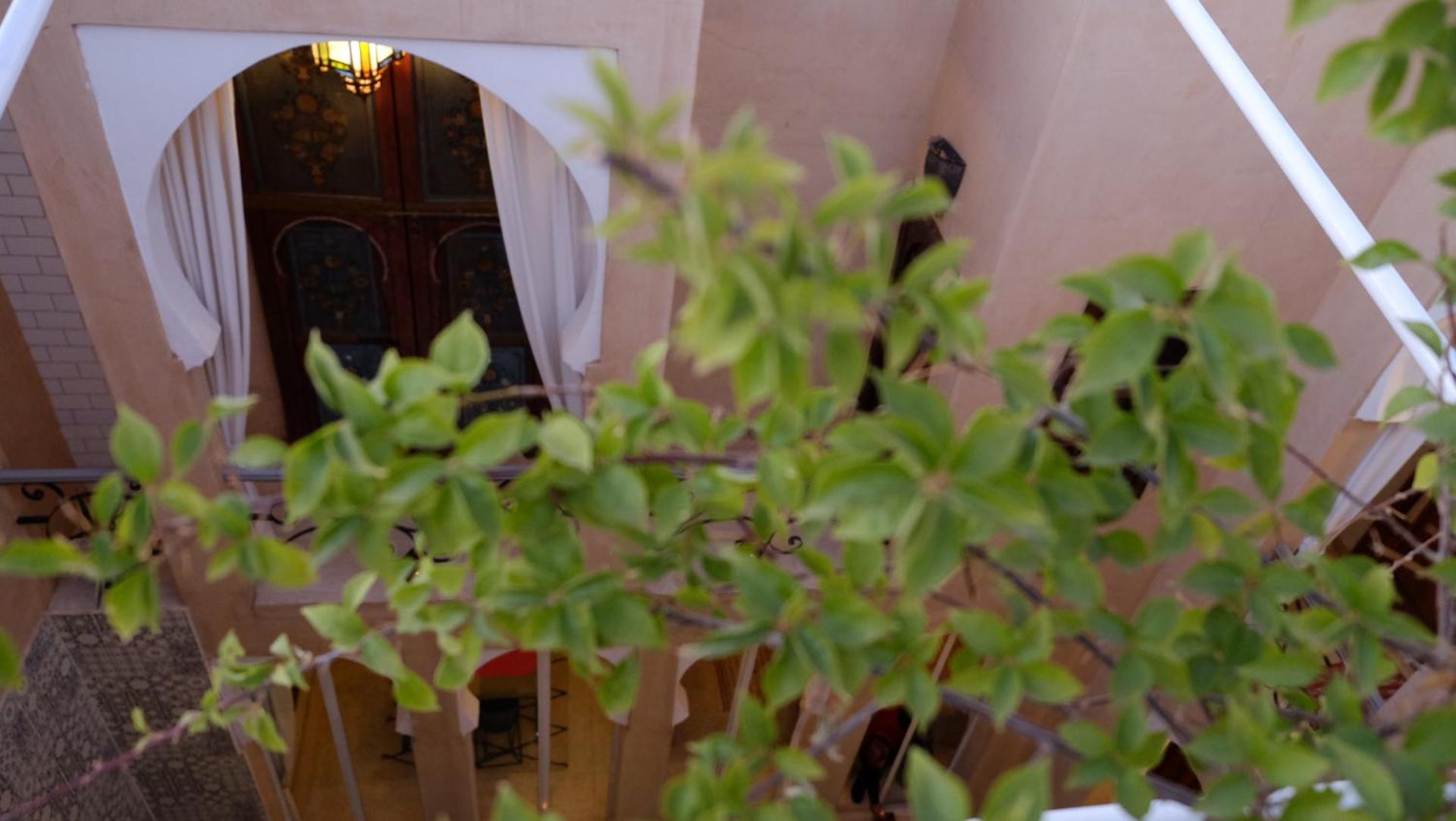 Riad Nafis - Photo 81