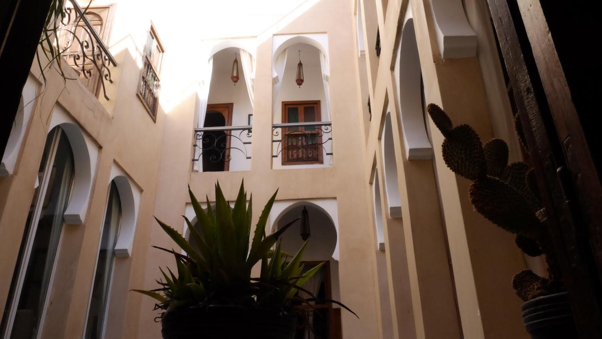 Riad Nafis - Photo 104