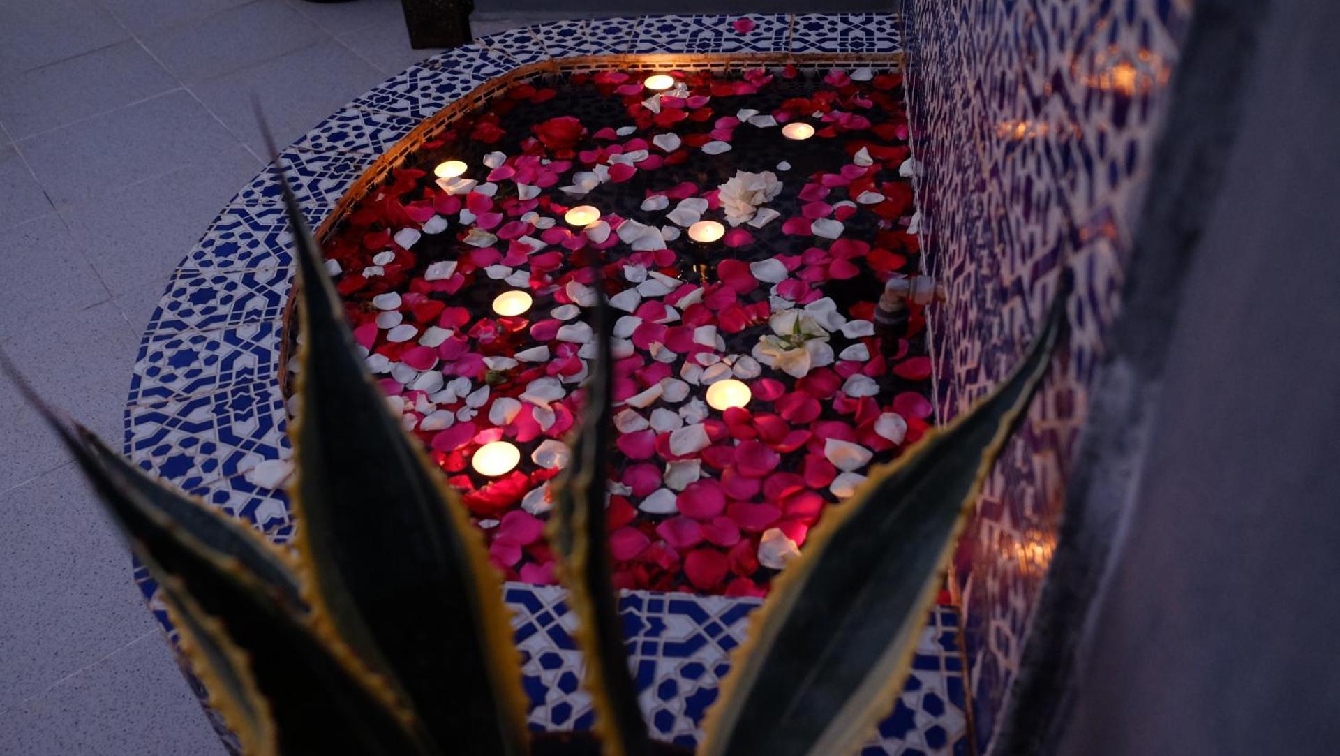 Riad Nafis - Photo 118
