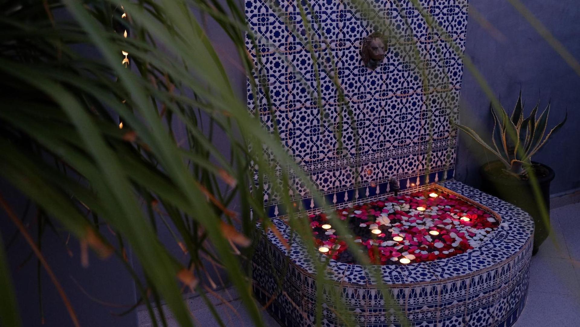 Riad Nafis - Photo 119