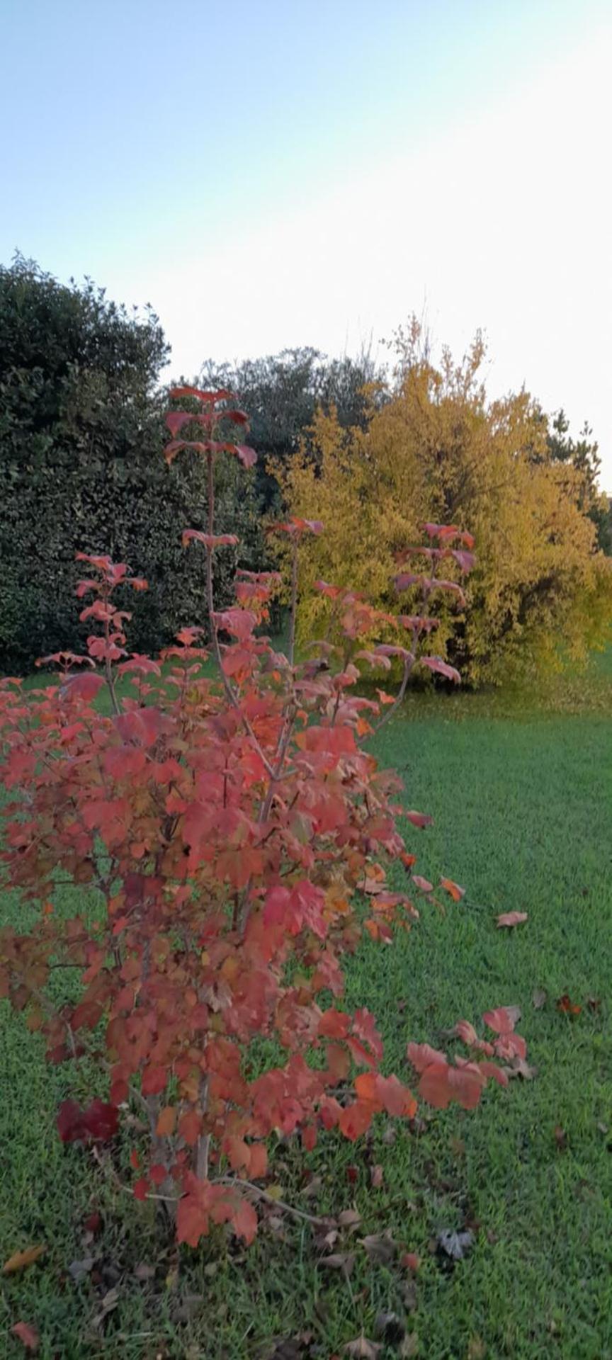 B&B Da Pio - Photo 108