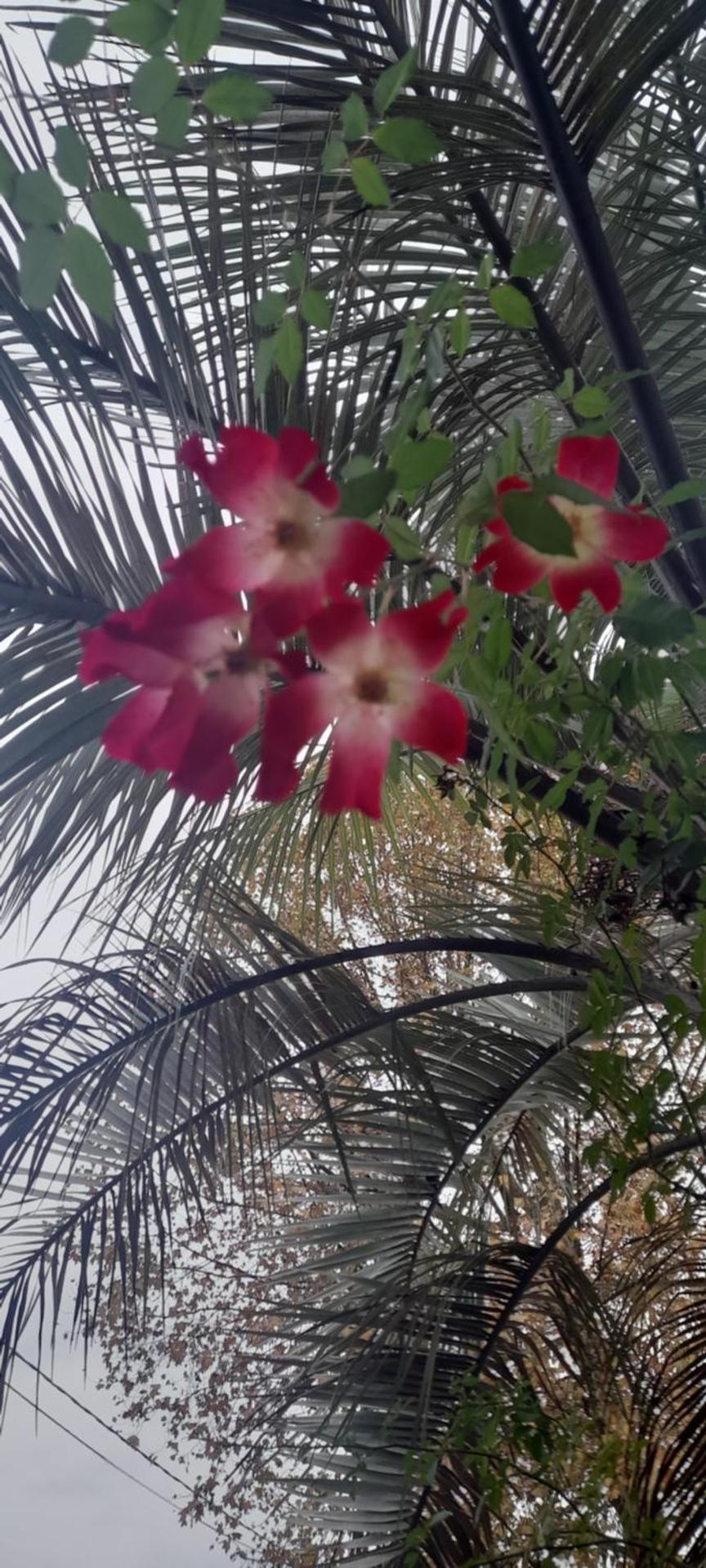 B&B Da Pio - Photo 113