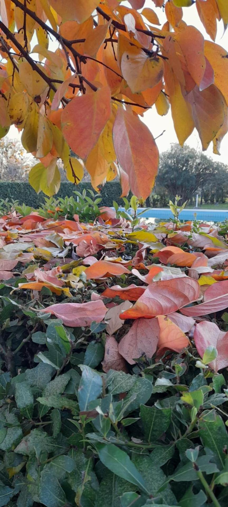 B&B Da Pio - Photo 111