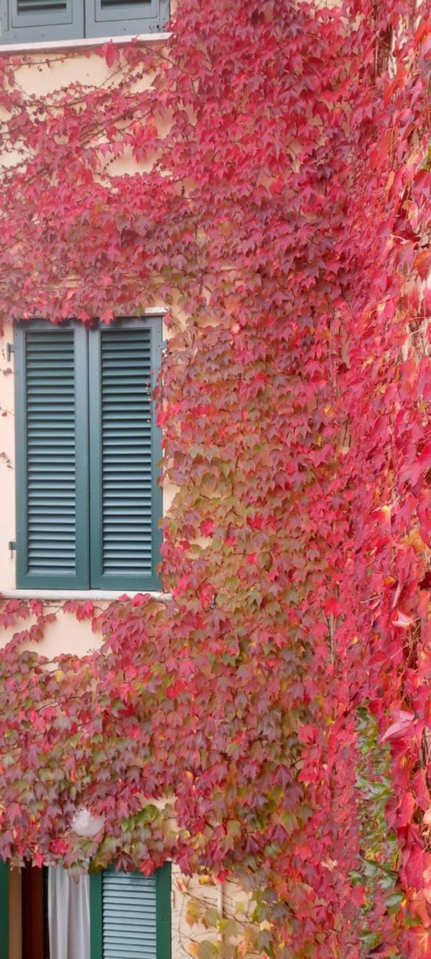 B&B Da Pio - Photo 112