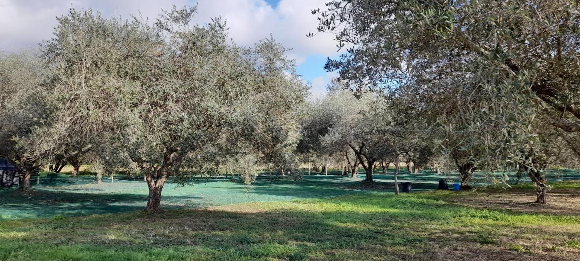 B&B Da Pio - Photo 115