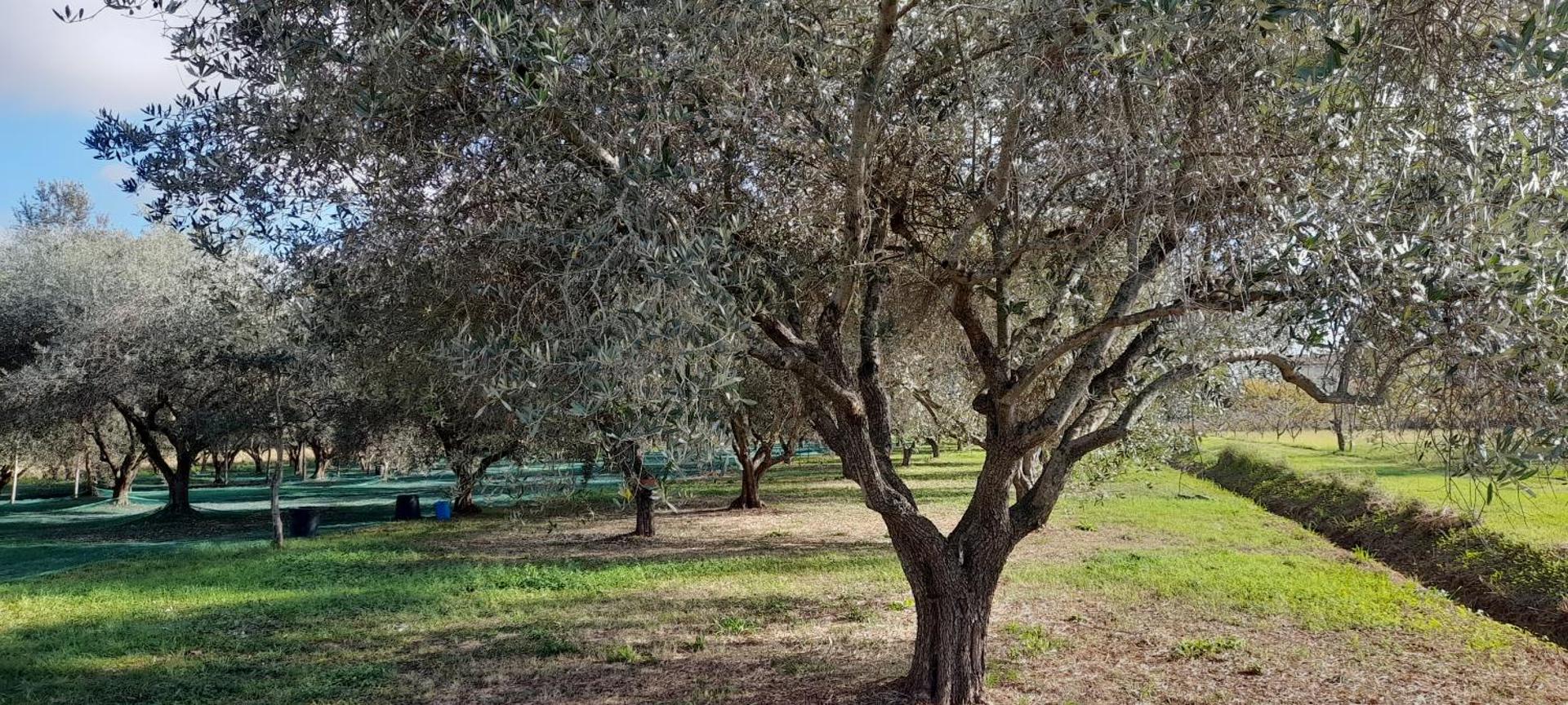 B&B Da Pio - Photo 114