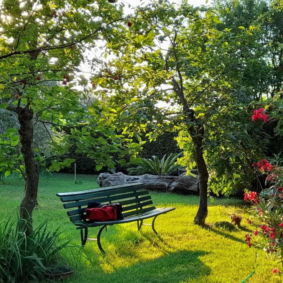 B&B Da Pio - Photo 118