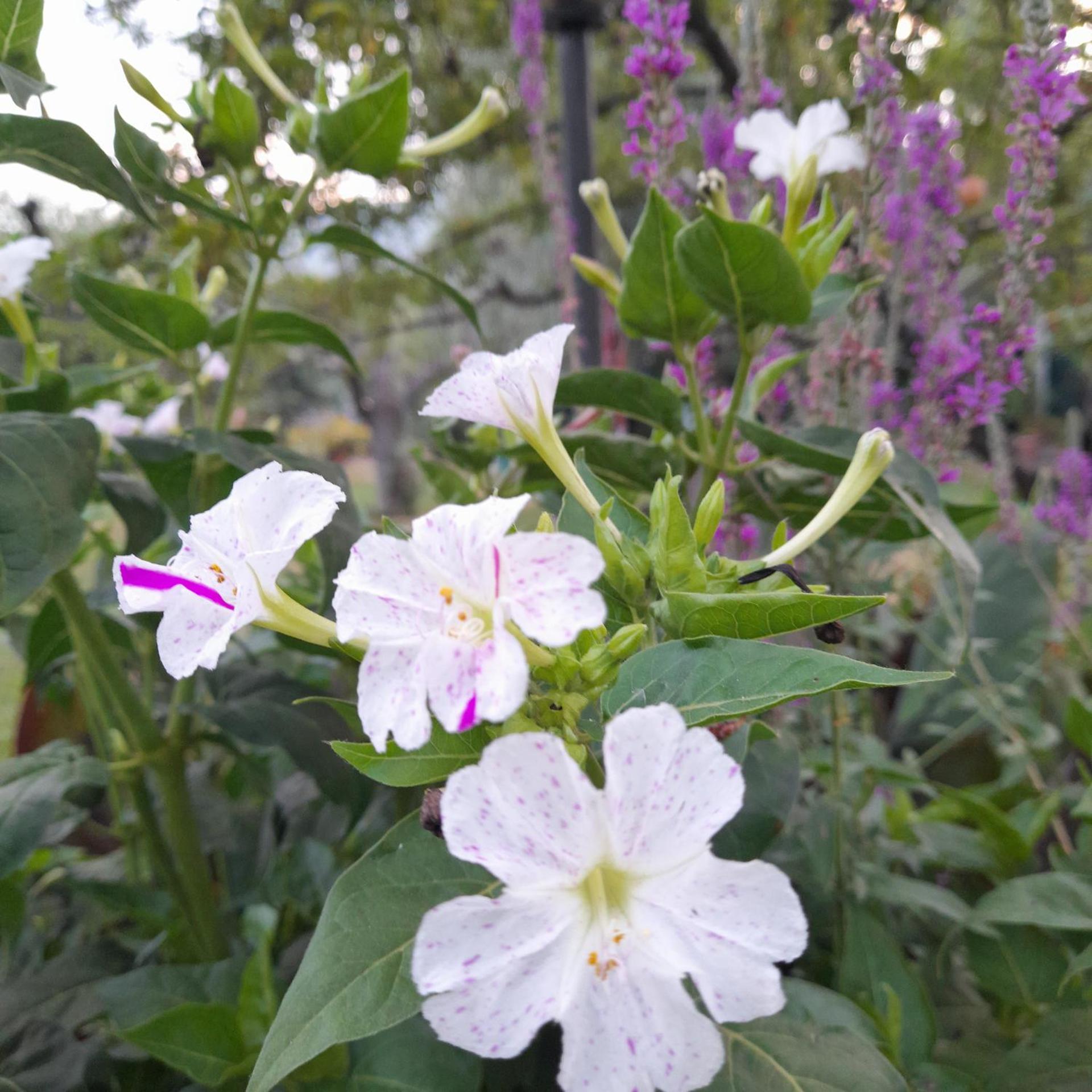 B&B Da Pio - Photo 119