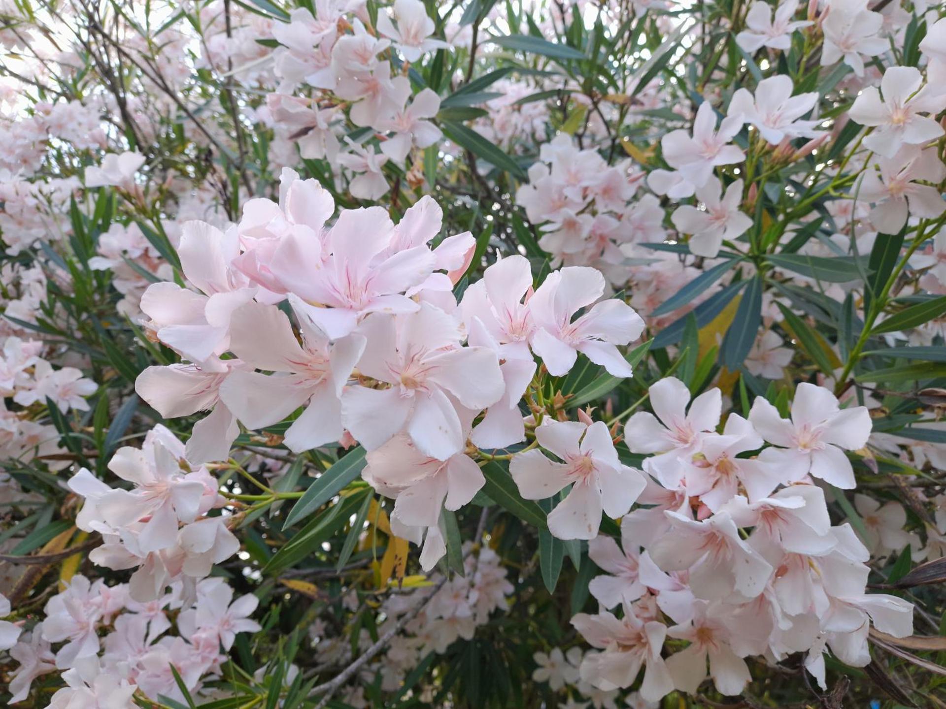 B&B Da Pio - Photo 120