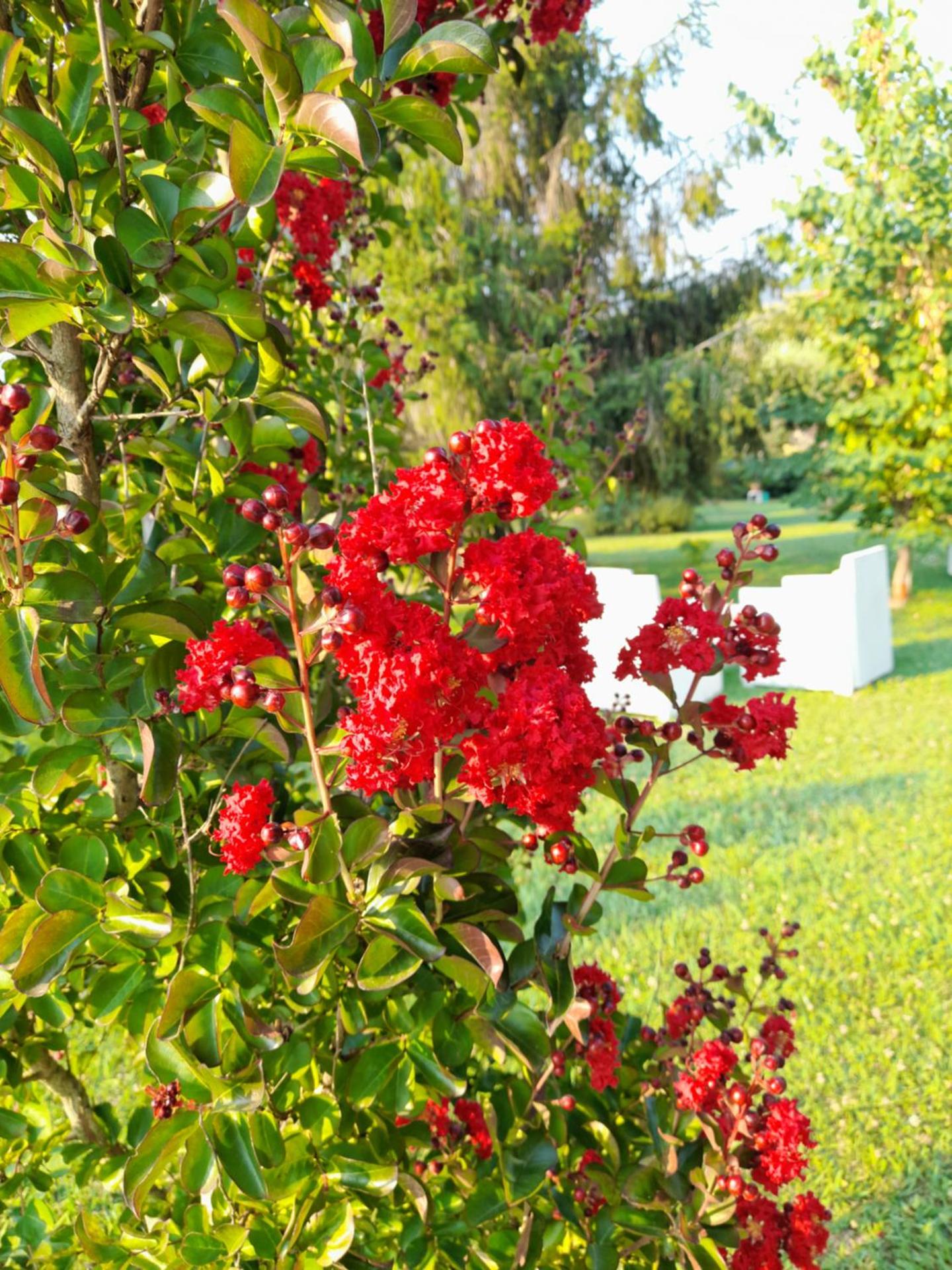 B&B Da Pio - Photo 124