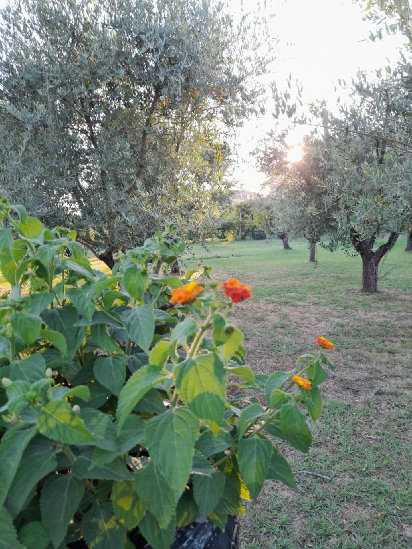 B&B Da Pio - Photo 122