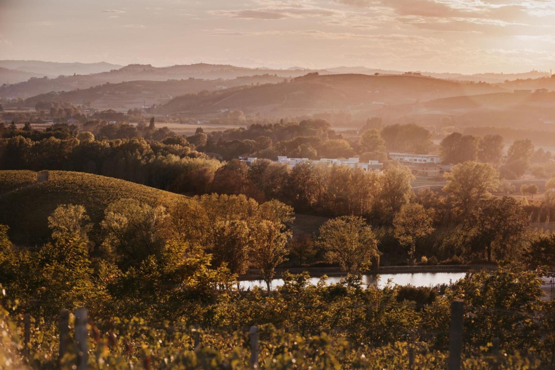 Agriturismo Tenuta La Romana - Photo 107