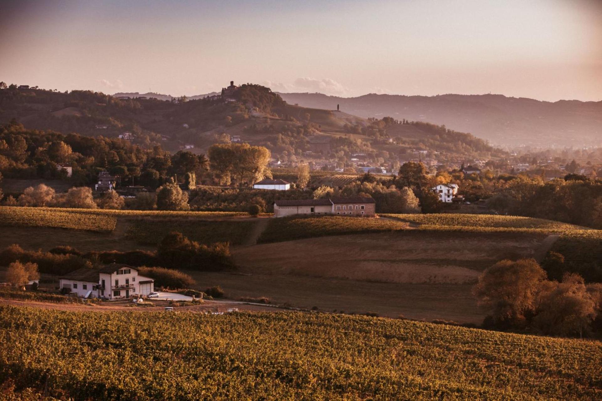 Agriturismo Tenuta La Romana - Photo 109