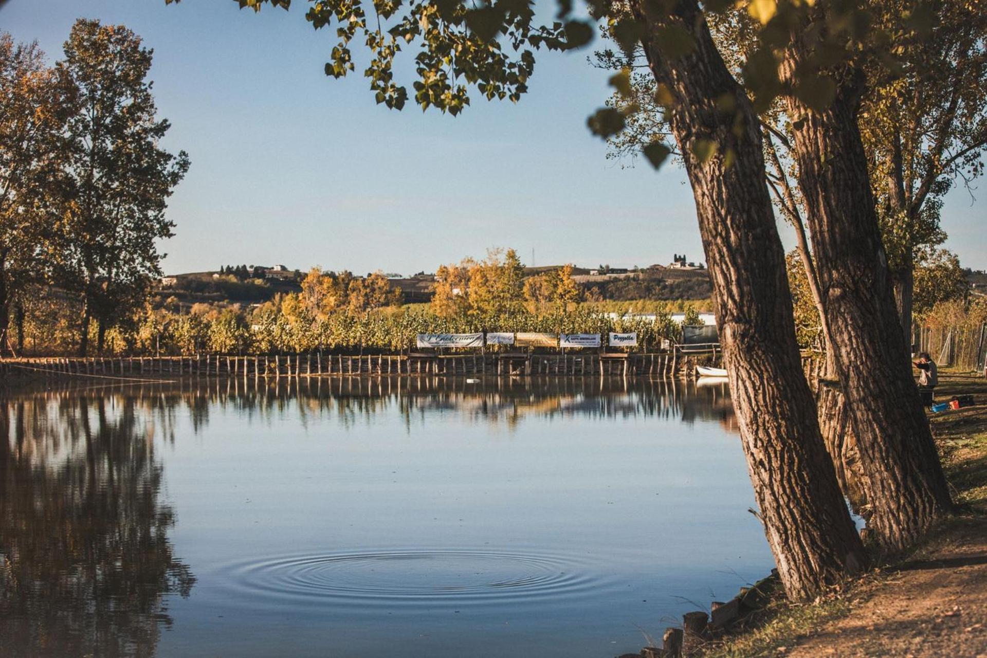 Agriturismo Tenuta La Romana - Photo 113