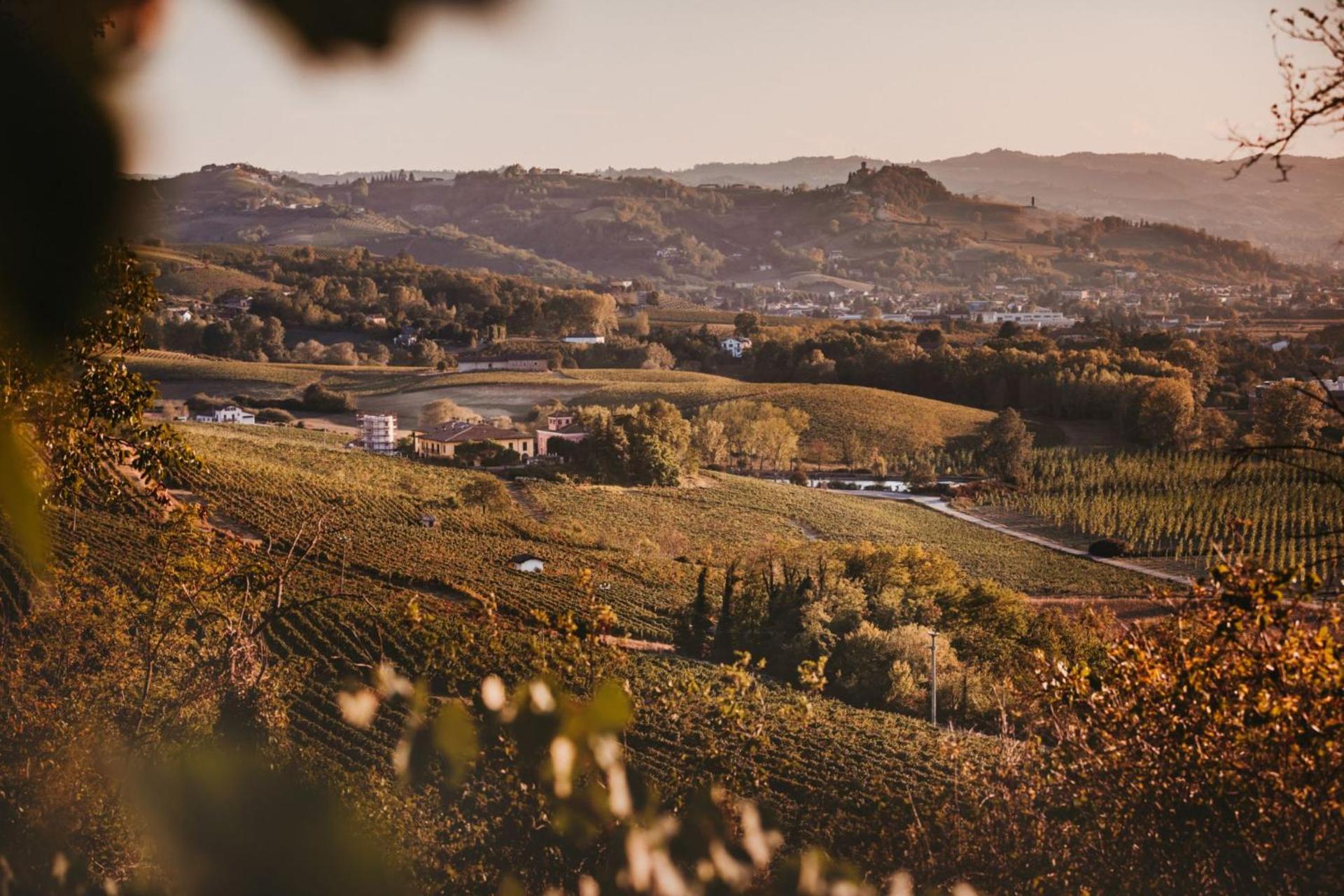 Agriturismo Tenuta La Romana - Photo 111