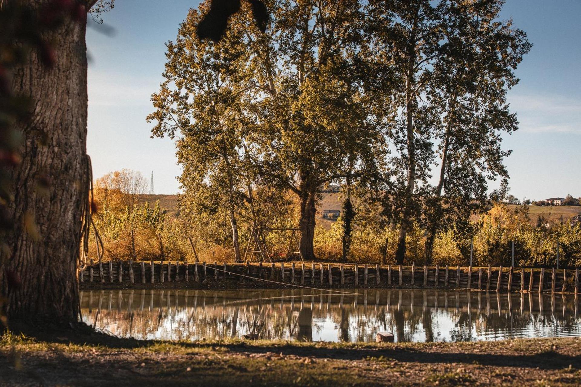 Agriturismo Tenuta La Romana - Photo 115