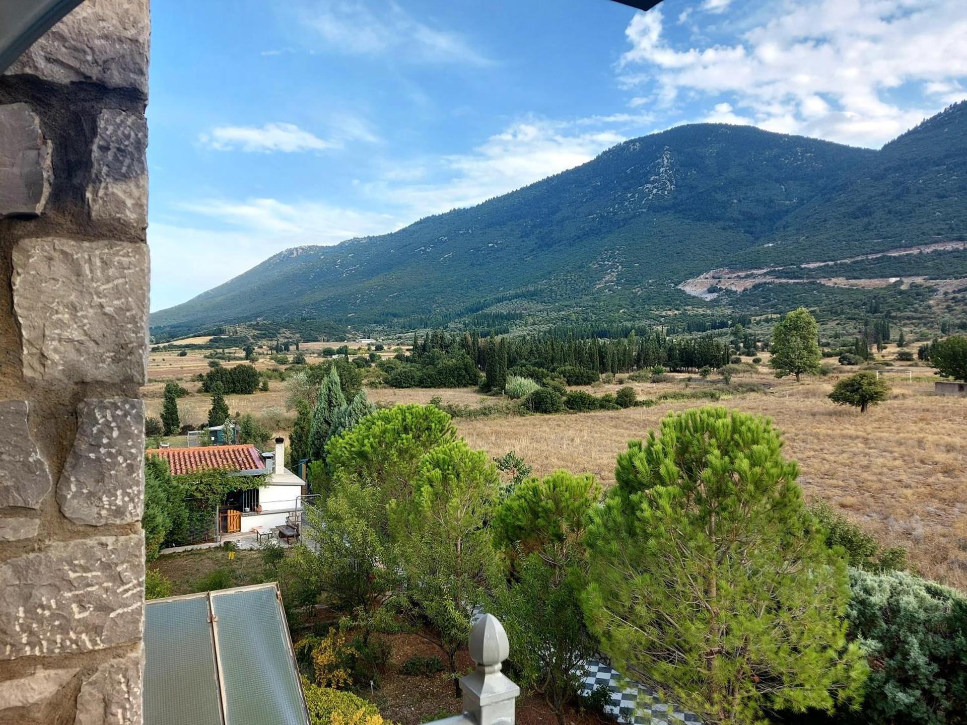 Xenios Petritis - Photo 19