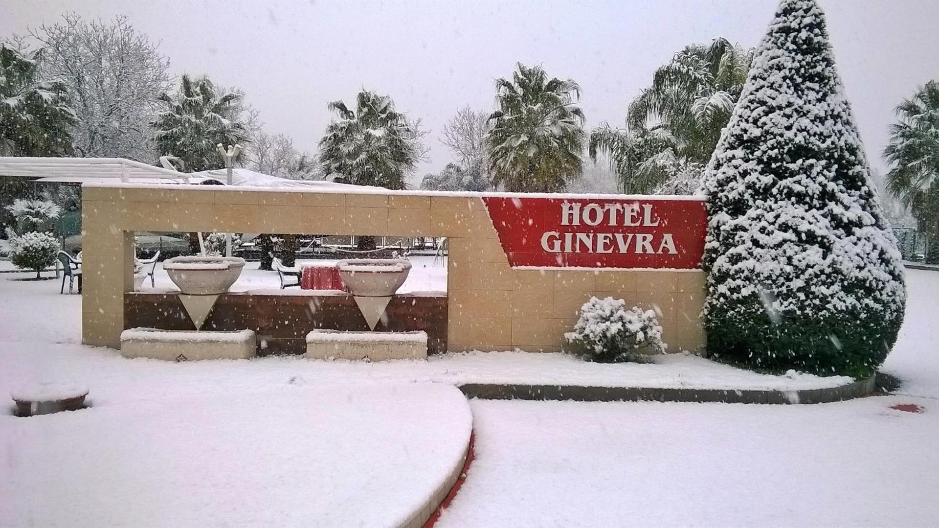 Hotel Ginevra - Photo 22