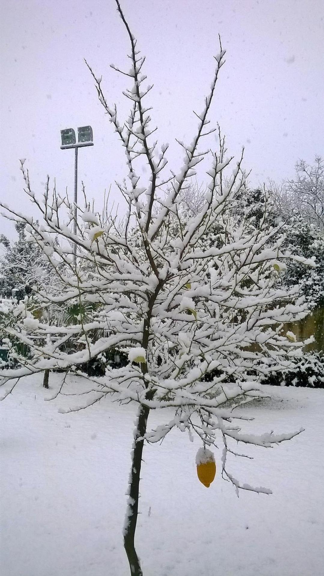 Hotel Ginevra - Photo 21