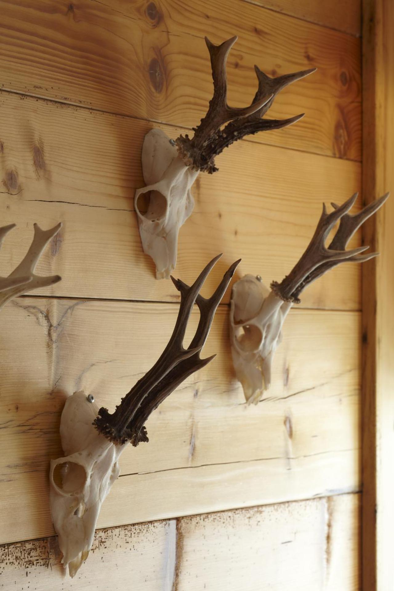 Gasthof Neuwirt Unterföhring - Photo 24