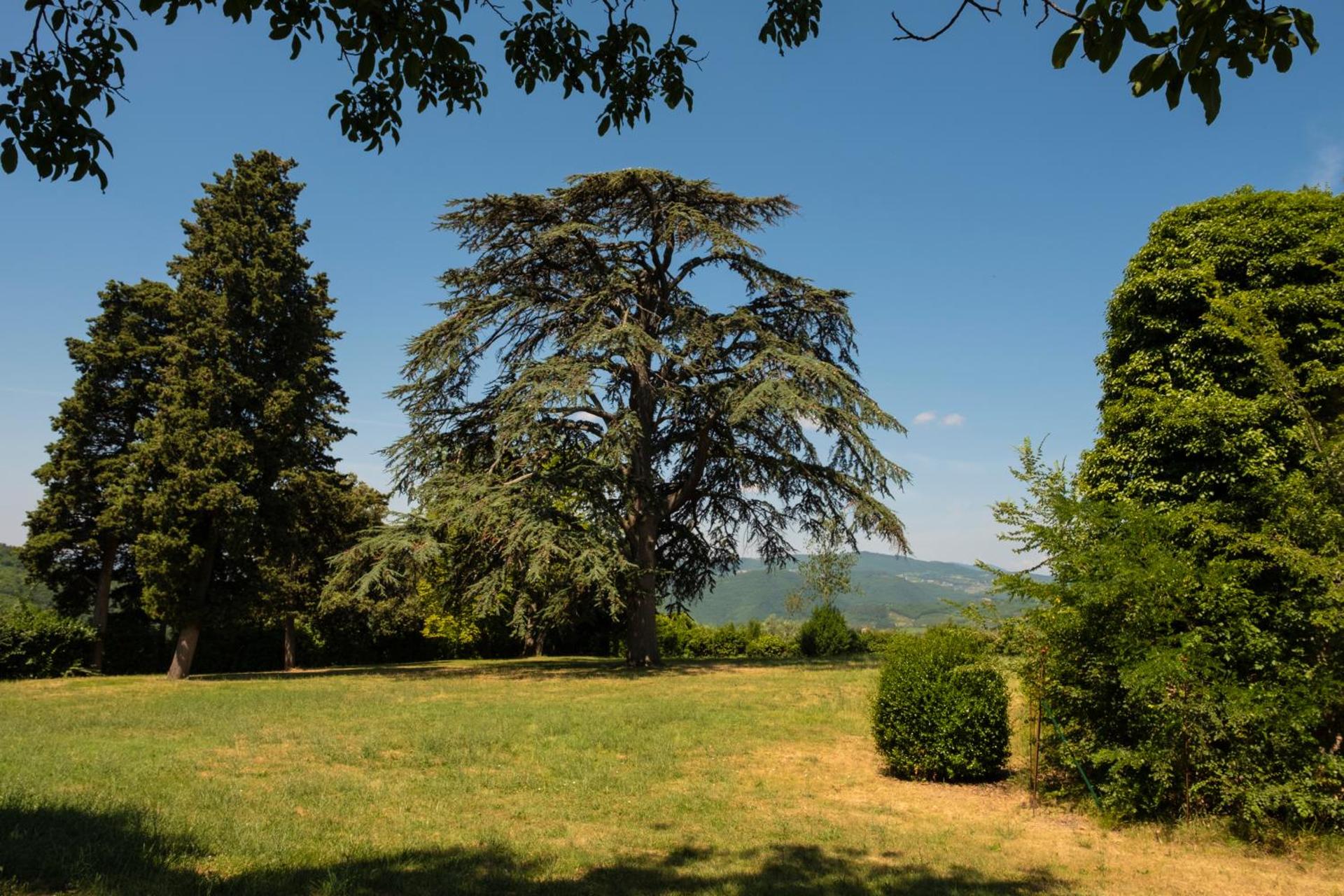 Florence Winery AgriResort - Fattoria Lavacchio - Photo 90