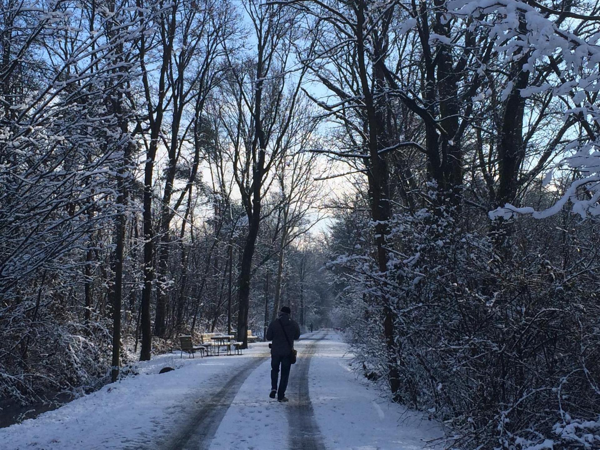 Bed&Garden - Photo 81