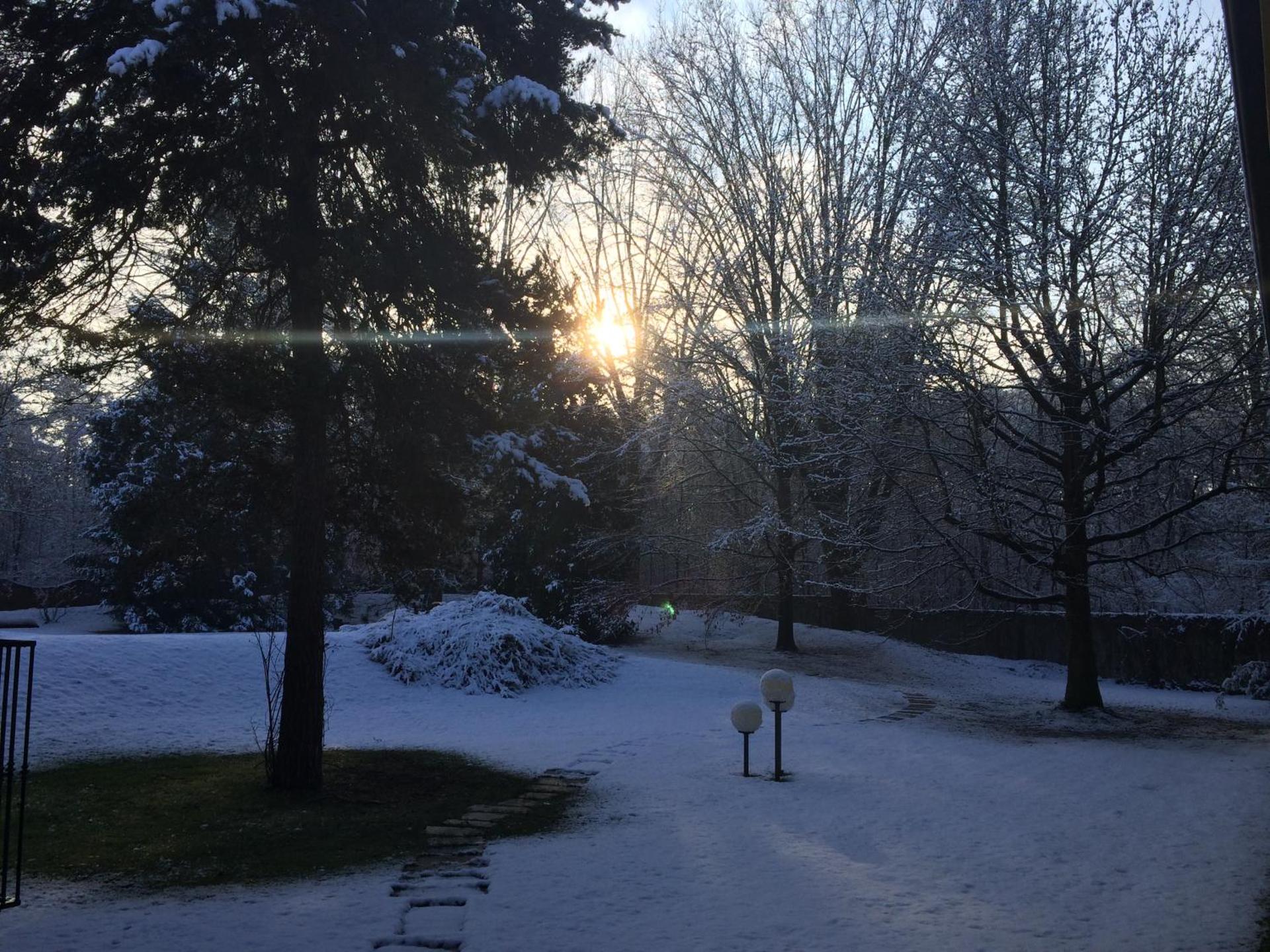 Bed&Garden - Photo 66