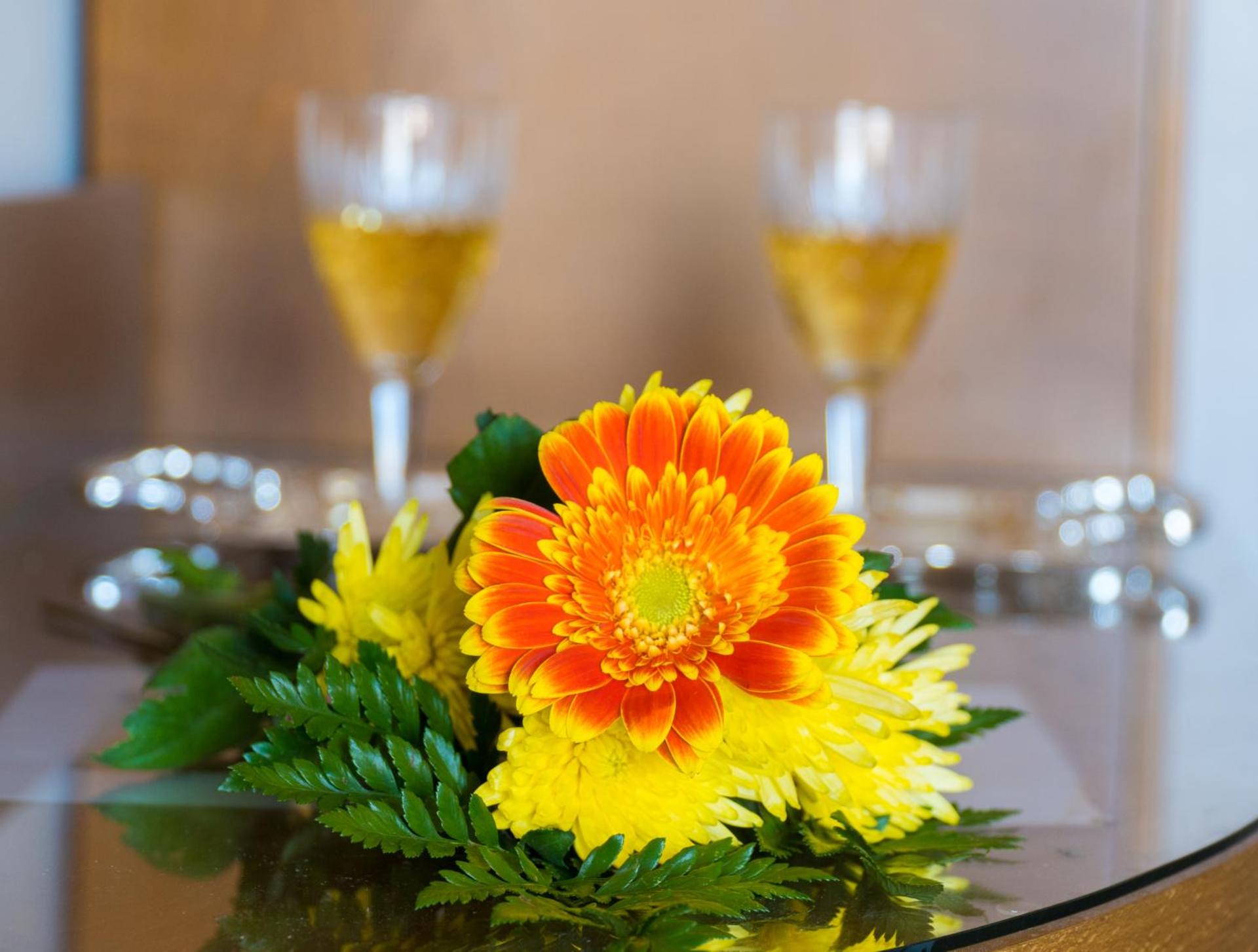 Palatino Hotel - Photo 41